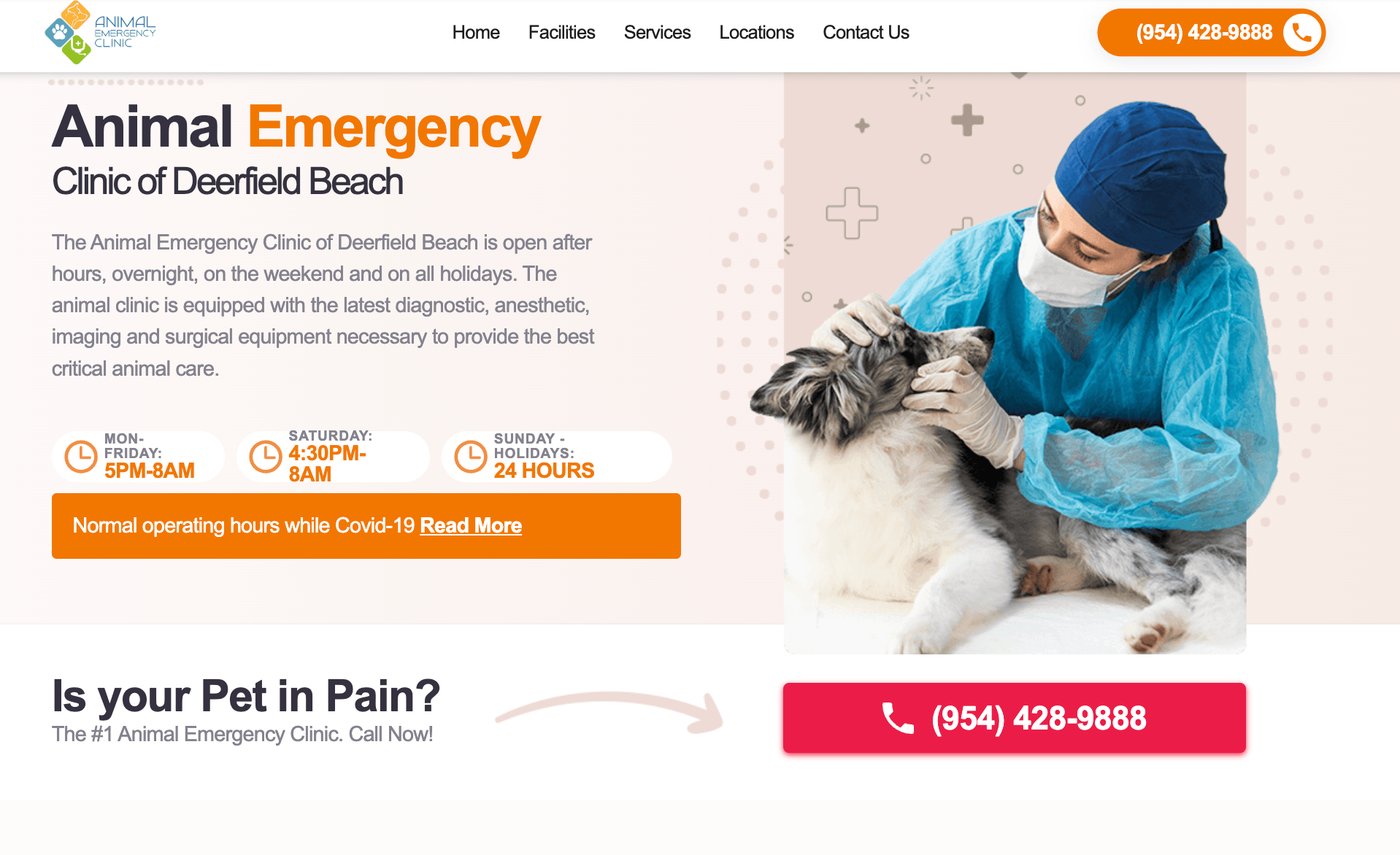 Animal Emergency Clinic